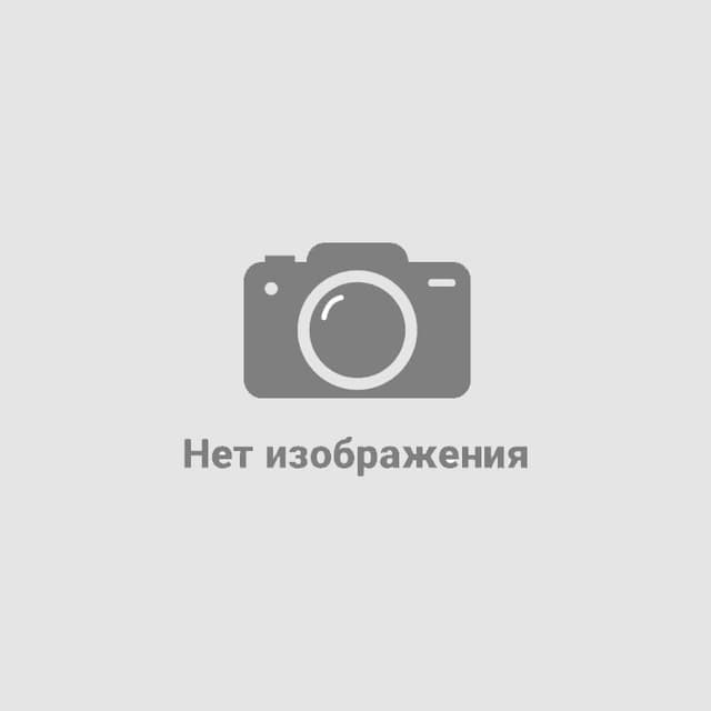 Термос вакуумный стальной La Vie с ремувкой двухстеночный 500 мл матовый в подарочной упаковке