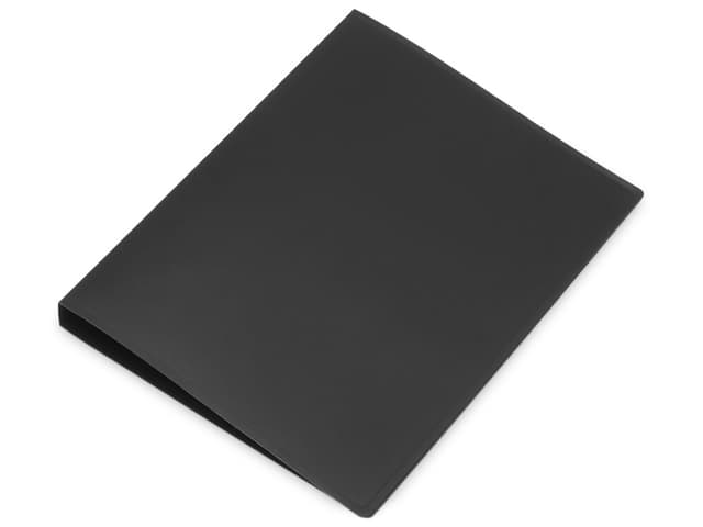 Папка пластиковая с 2 кольцами