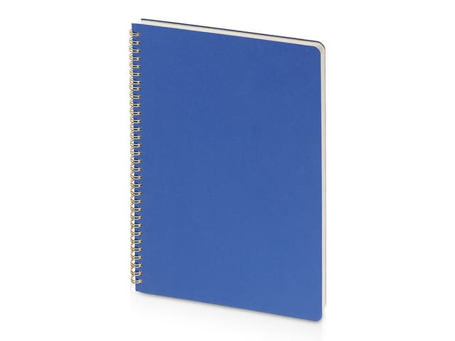 Бизнес тетрадь на гребне А4 Pragmatic