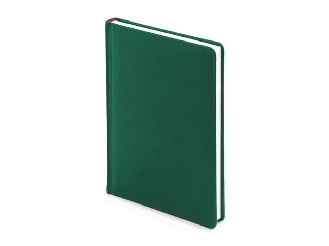 Ежедневник А5 датированный Velvet 2026